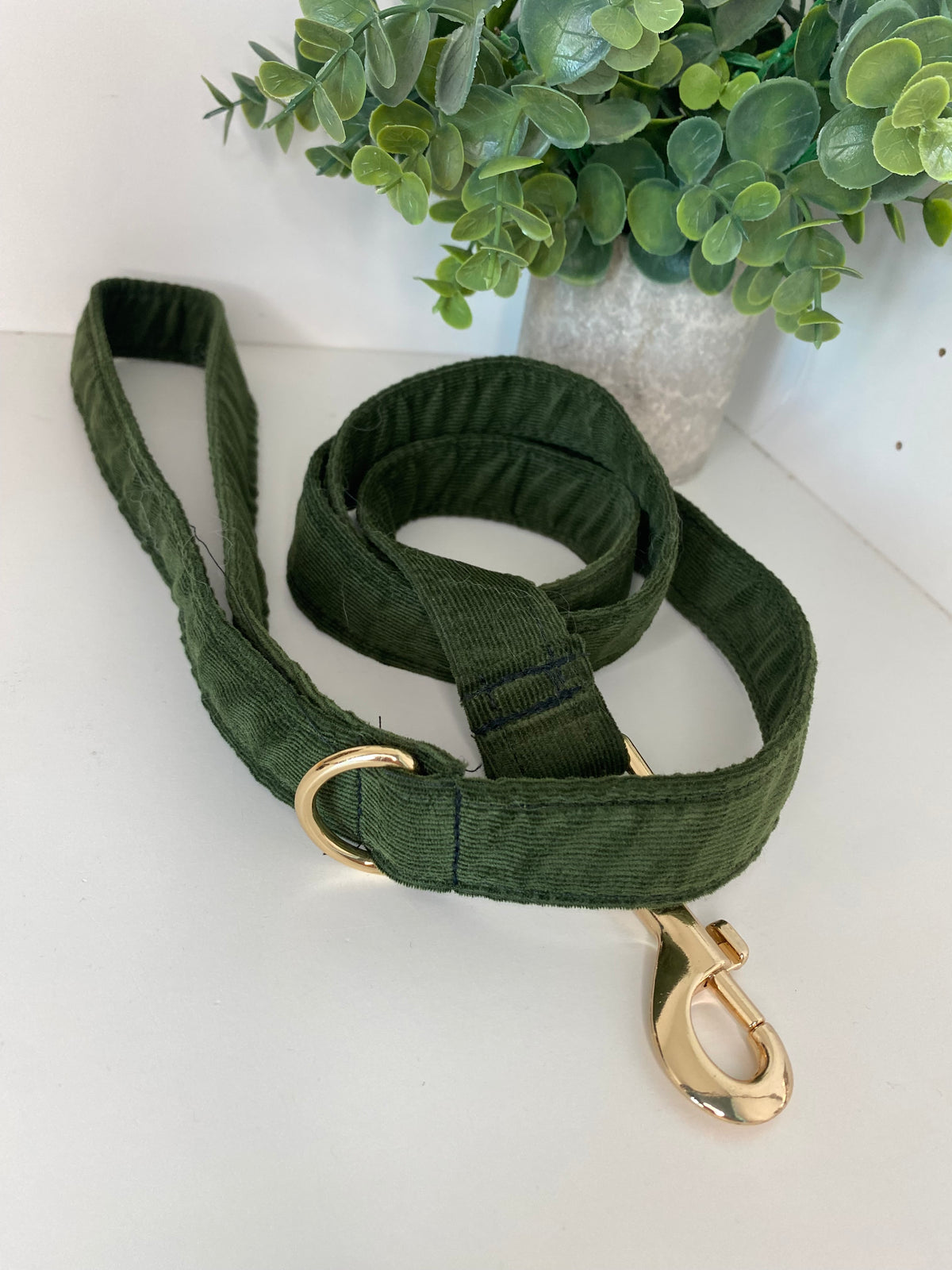 Laisse velours vert anglais