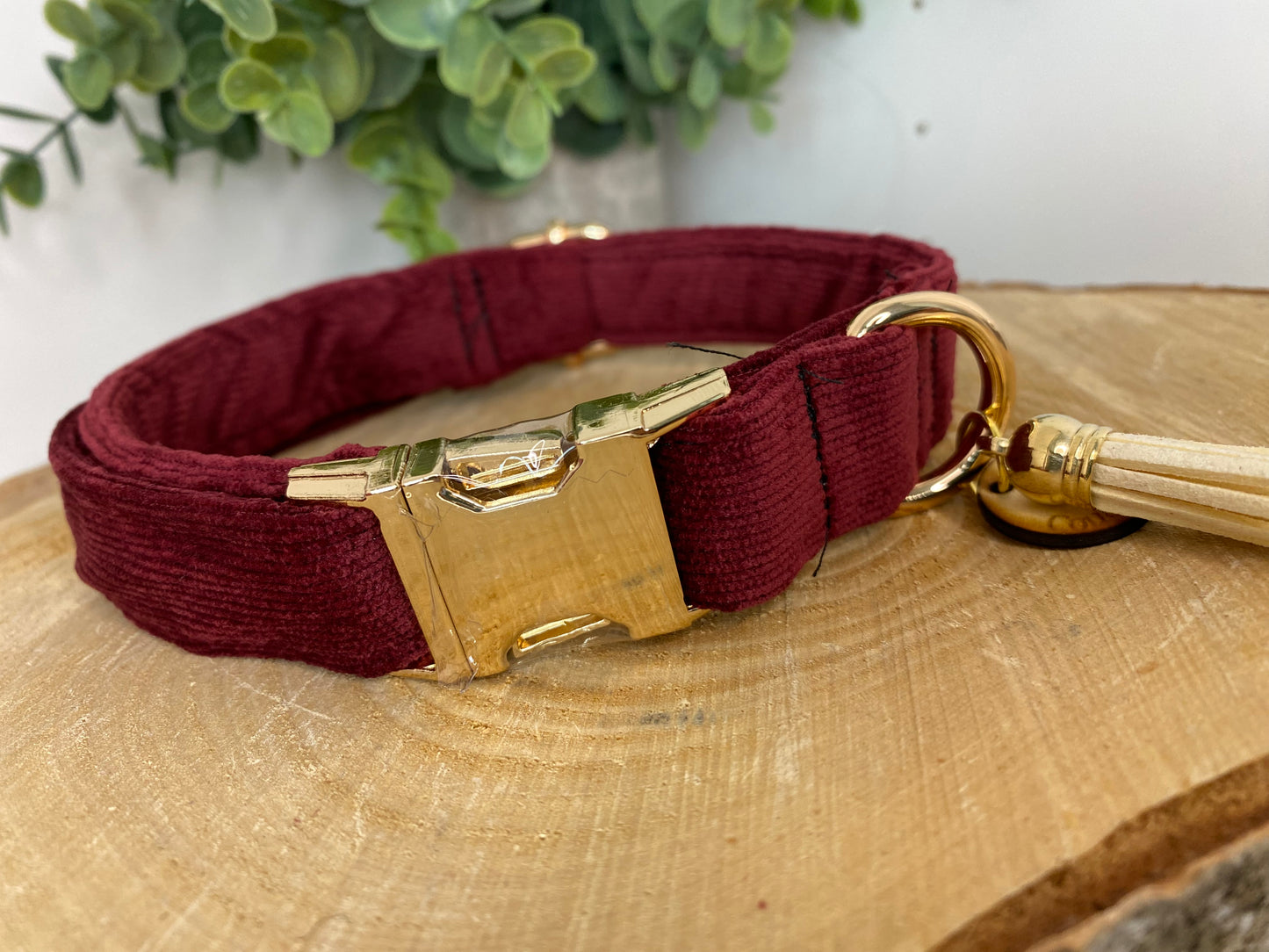 Collier pour chien velours bordeaux