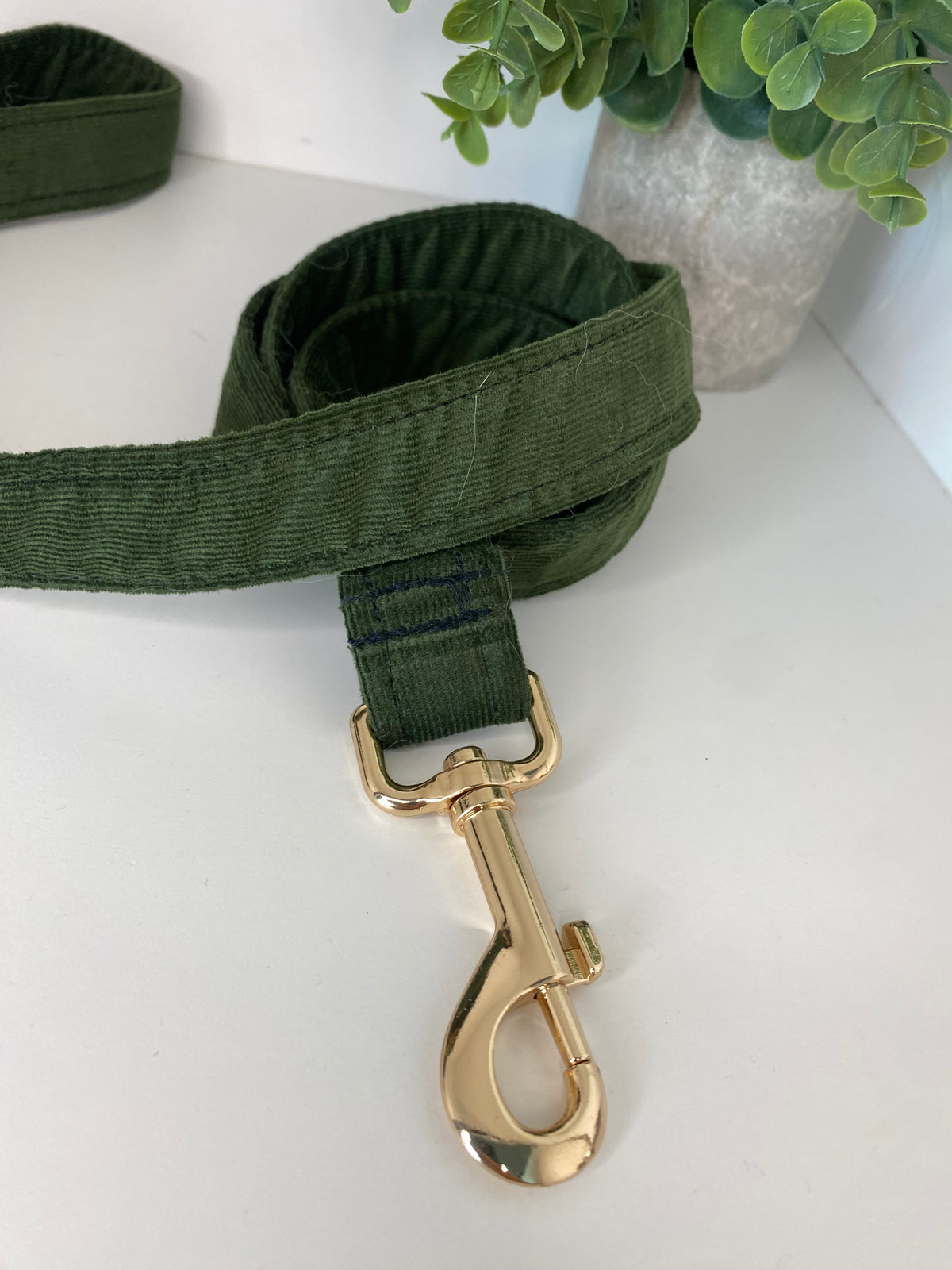 Laisse velours vert anglais