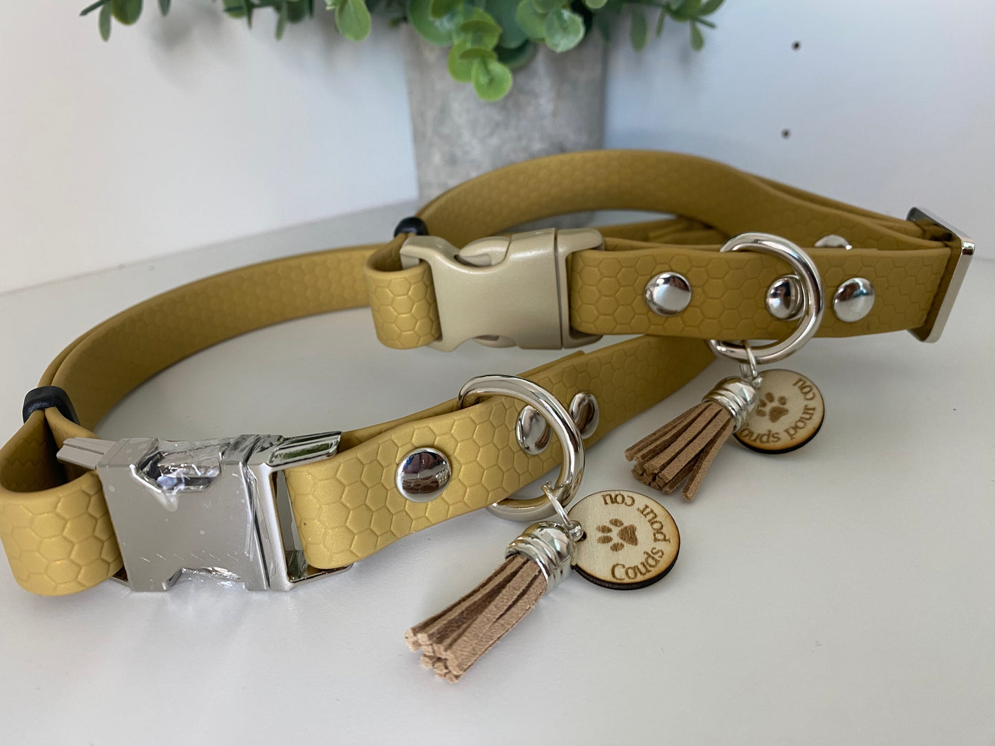 Collier imperméable en hexa doré avec ou dans laisse