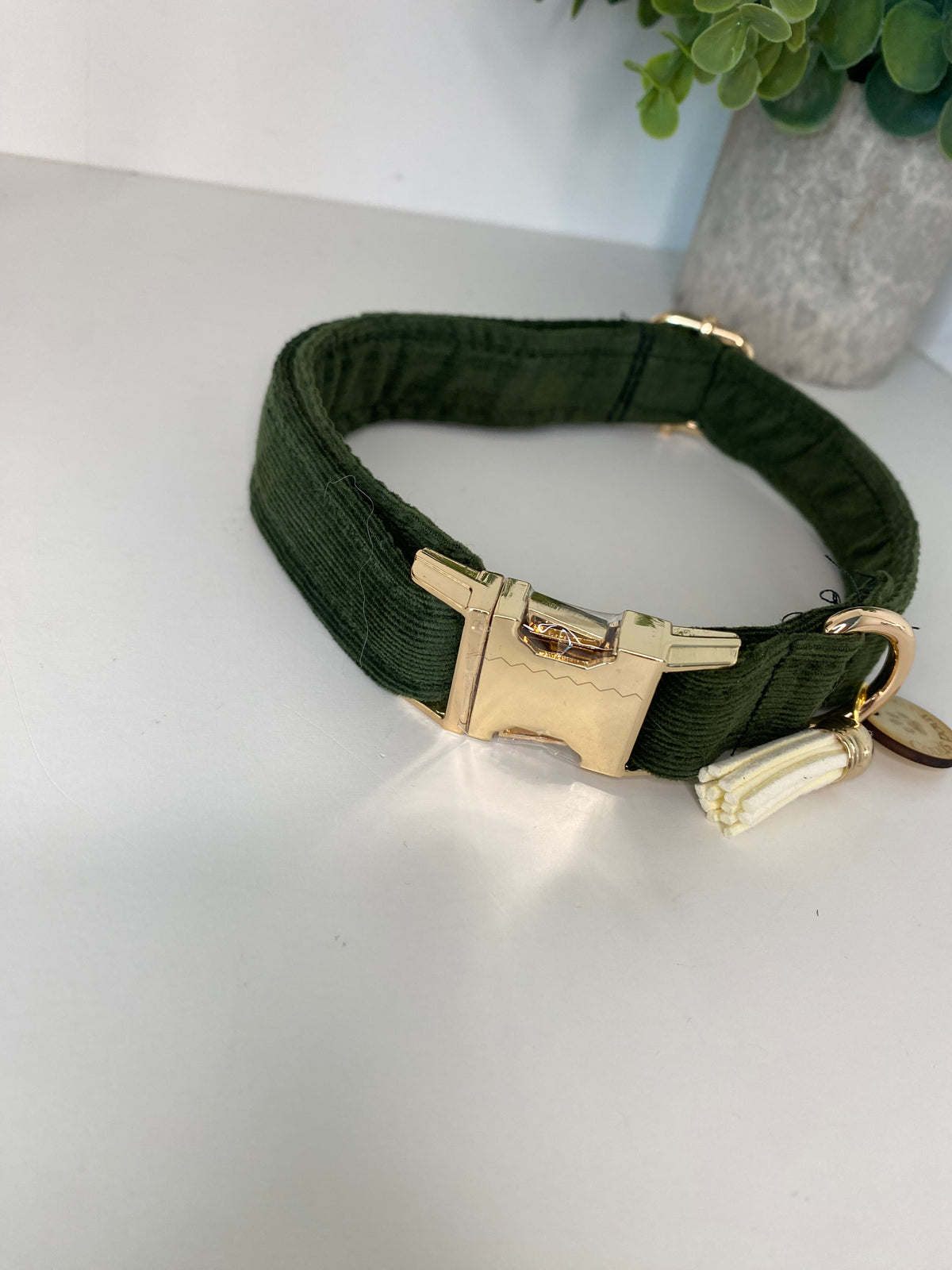 Collier pour chien velours vert anglais