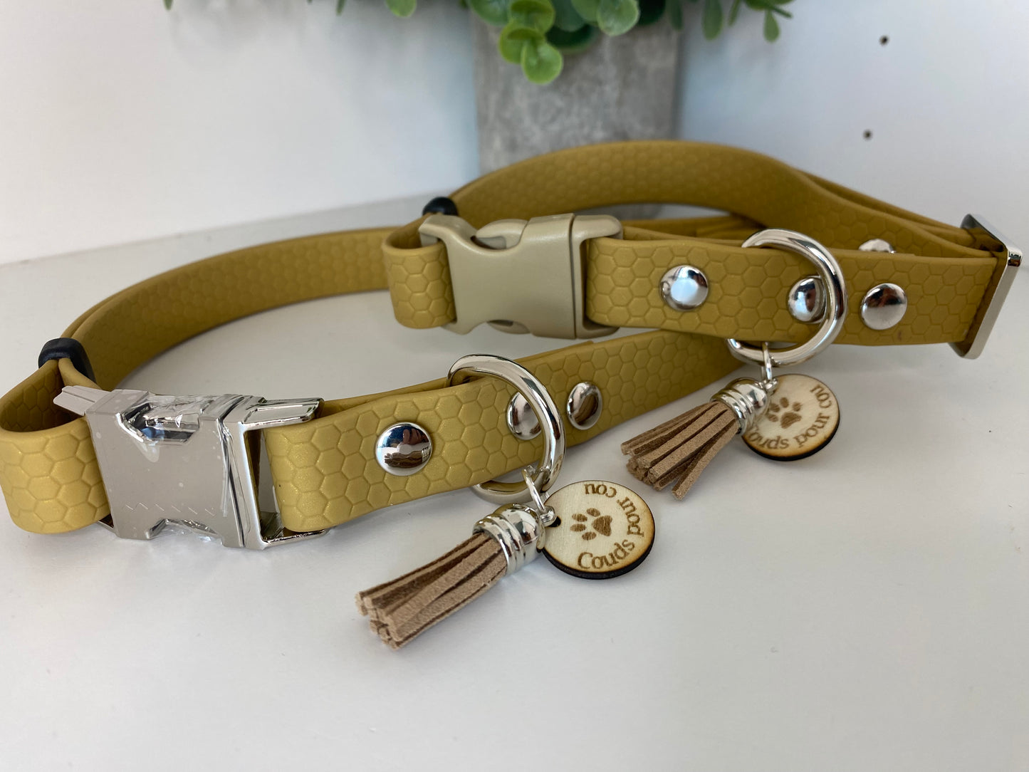 Collier imperméable en hexa doré avec ou dans laisse