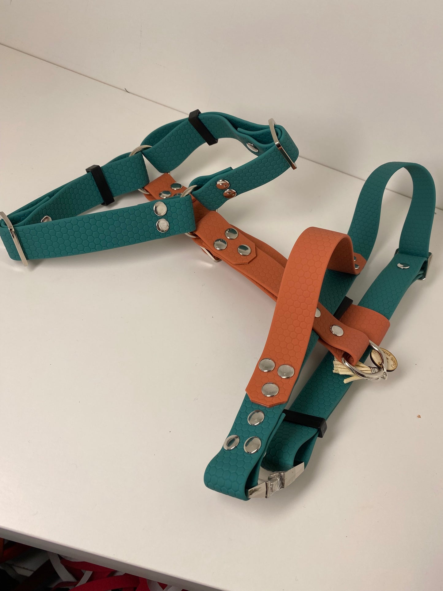 Harnais en H ajustable et imperméable pour chien - vert et terracotta