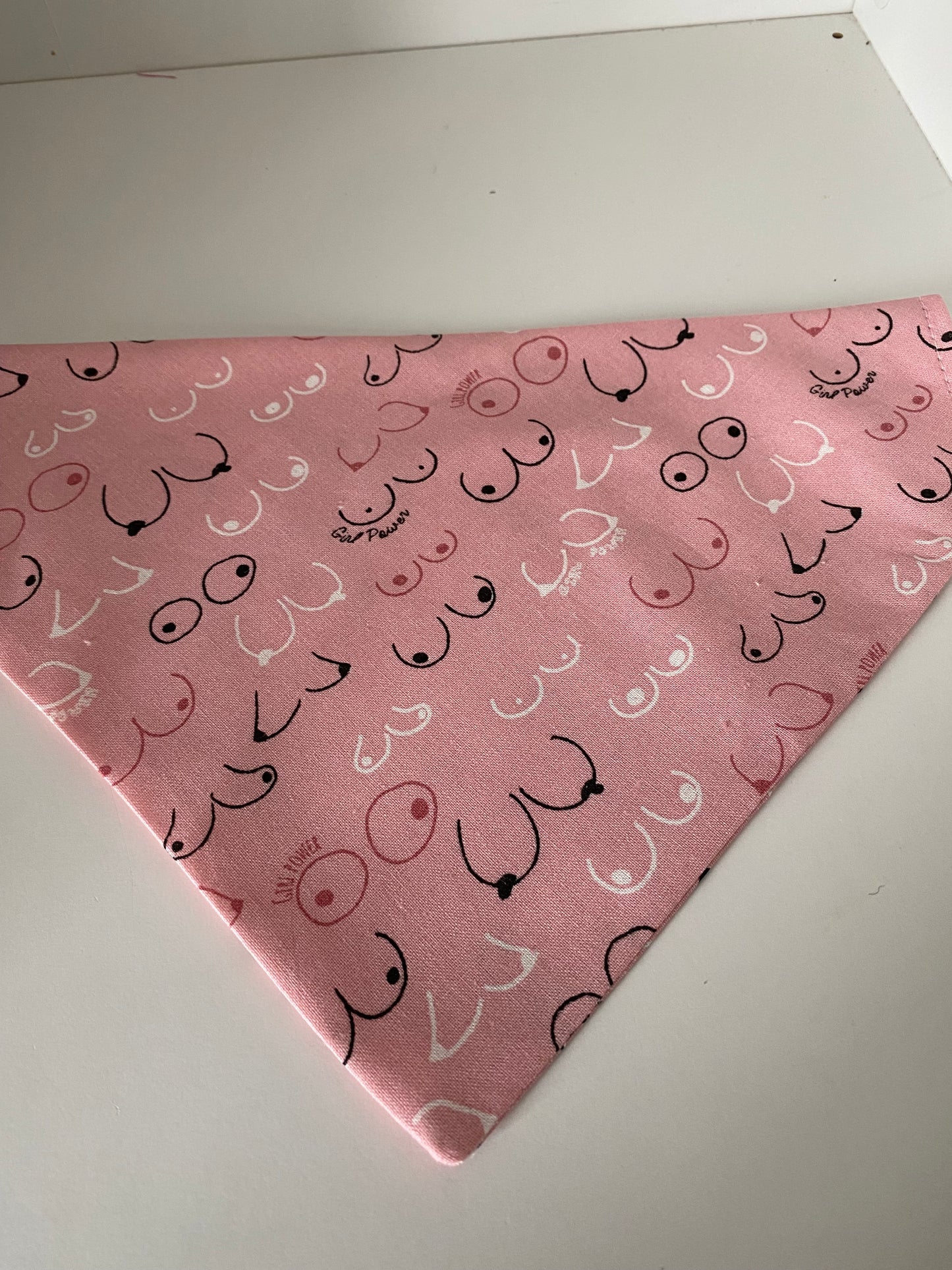 Le Bandana Parfait pour Votre Chien octobre rose