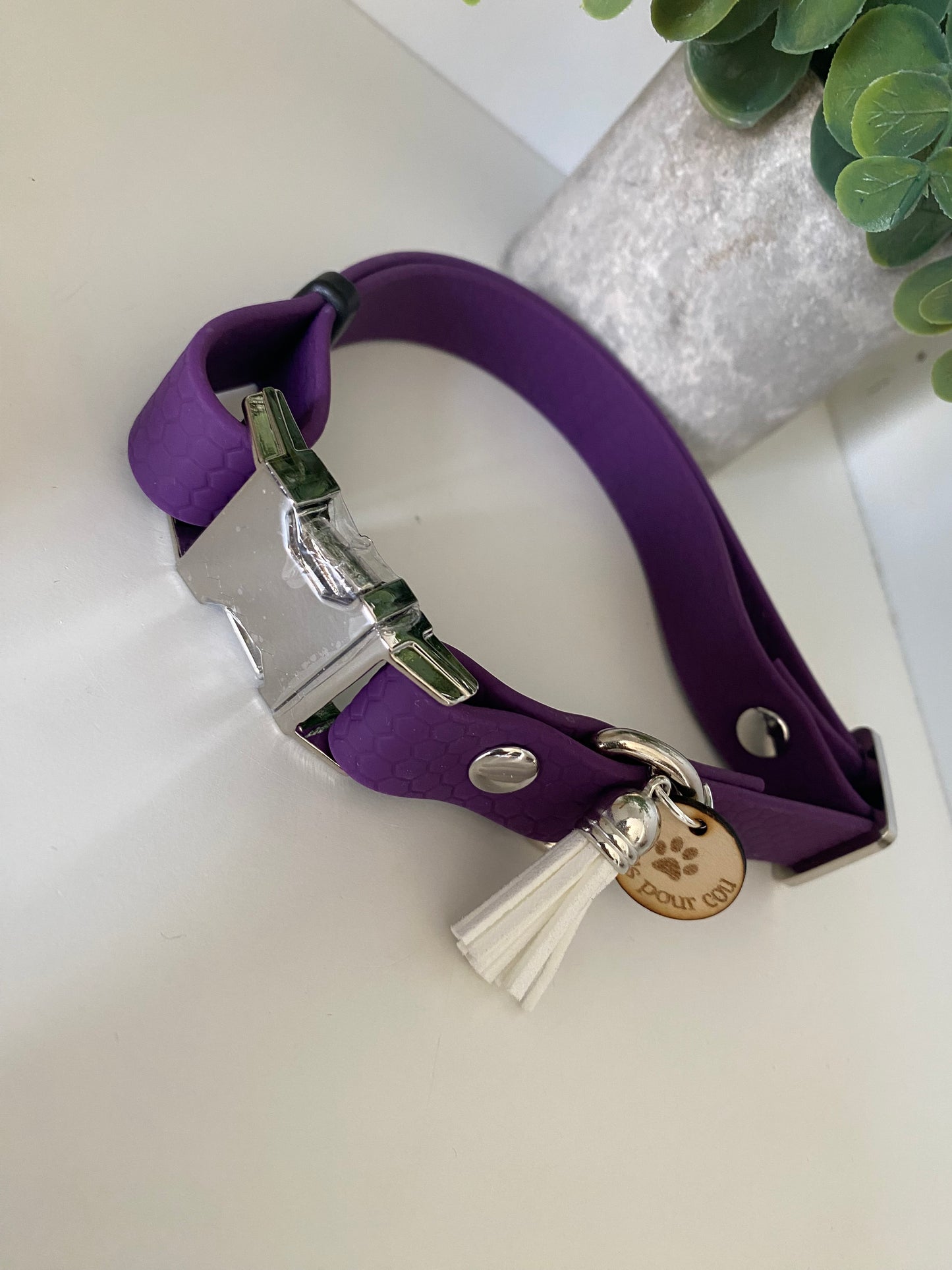 Collier imperméable en hexa réglable avec ou sans laisse violet