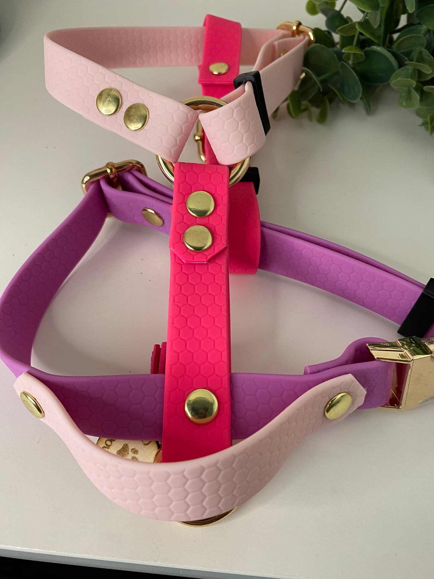 Harnais en H ajustable et imperméable pour chien collection Aby