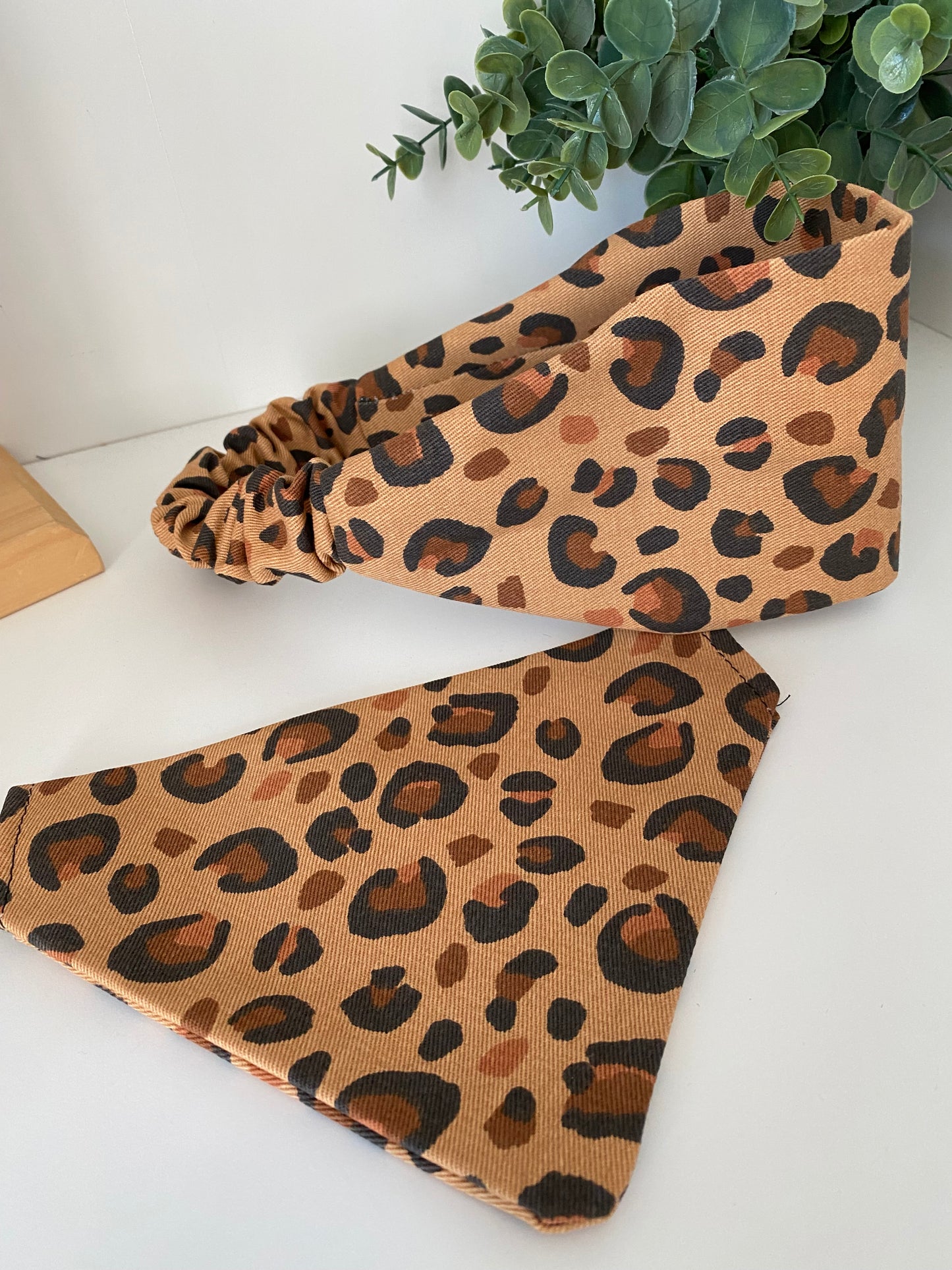 Bandeau assorti – Matchy Matchy humain & chien ou chat léopard