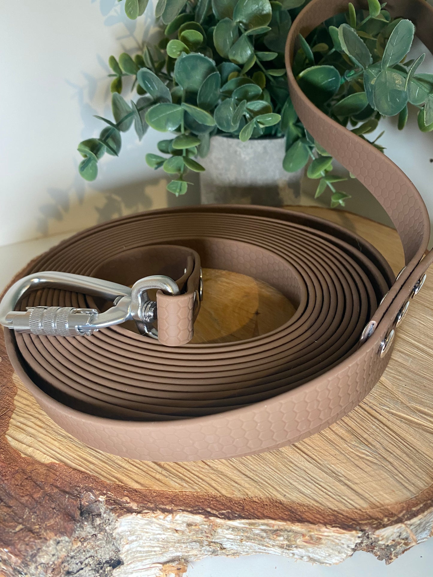 Longe Hexa 2 cm couleur aux choix