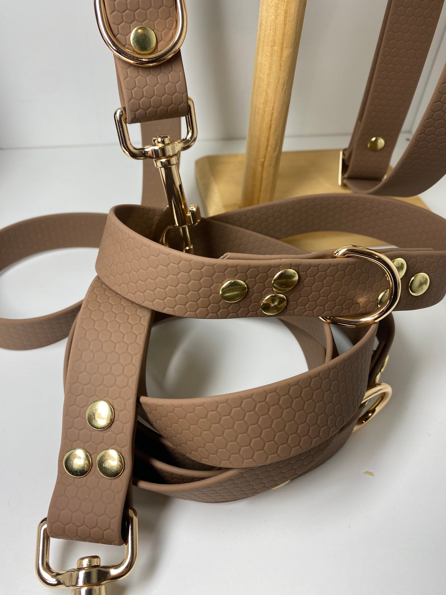 Collier imperméable en hexa réglable avec ou sans laisse