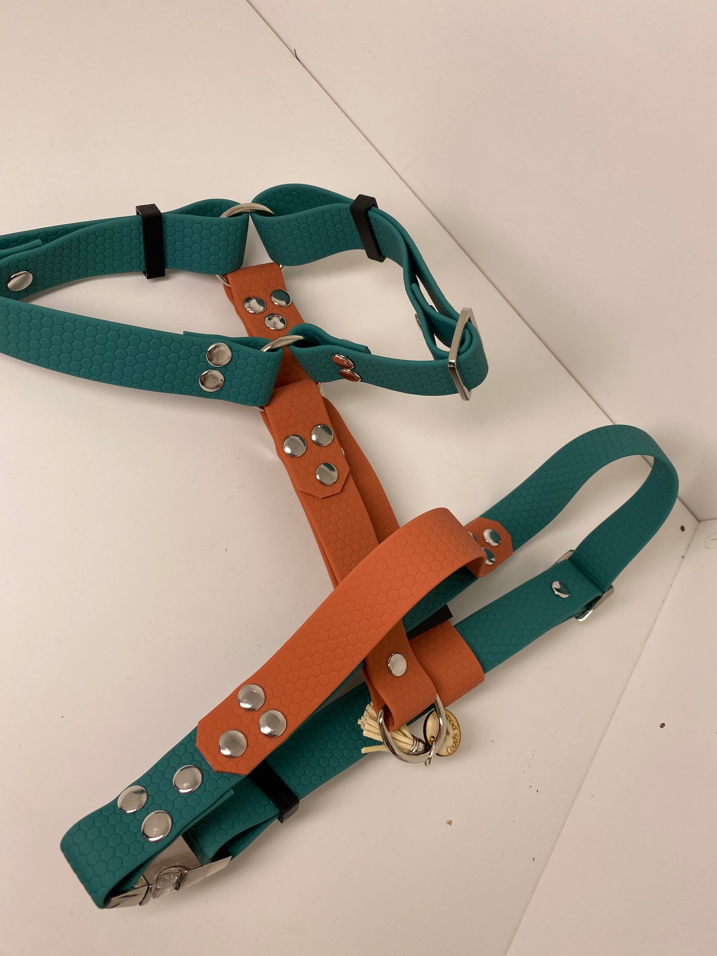 Harnais en H ajustable et imperméable pour chien - vert et terracotta