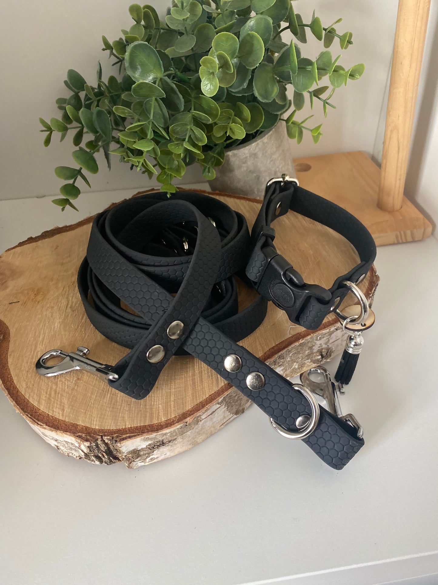 Collier réglable avec ou sans laisse noir en hexa imperméable