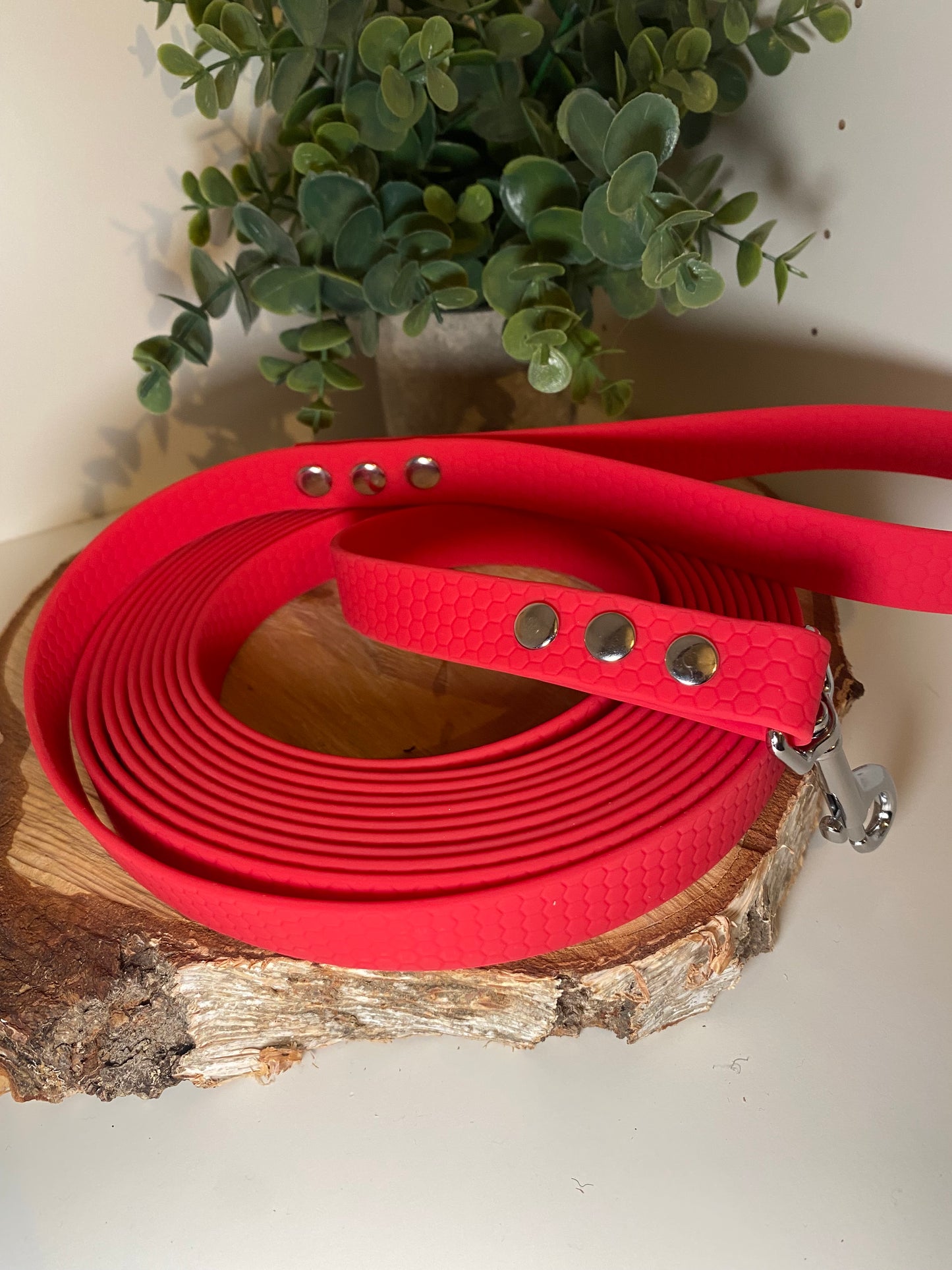 Longe Hexa 2 cm couleur aux choix