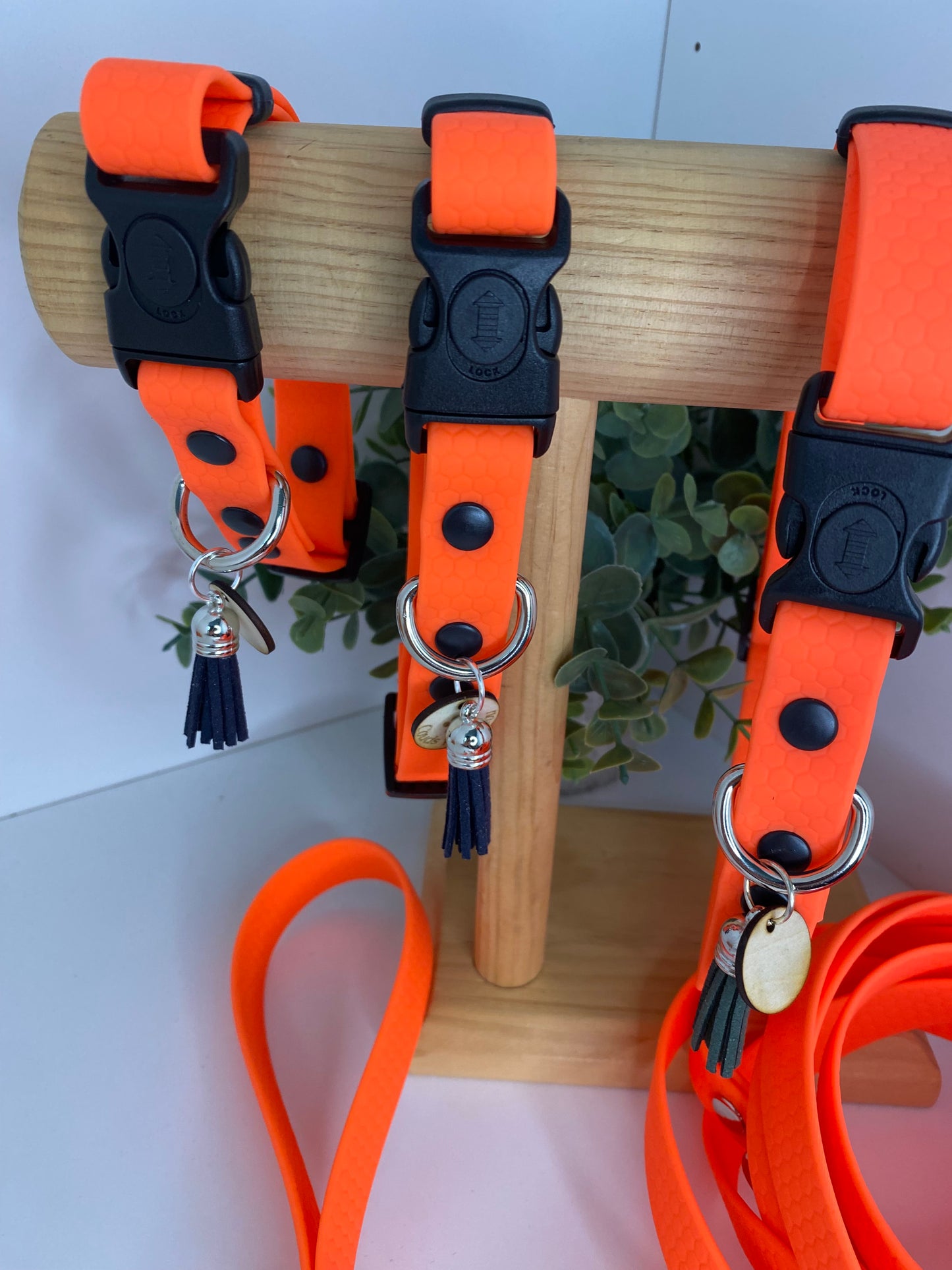 Collier imperméable en hexa orange fluo avec ou dans laisse
