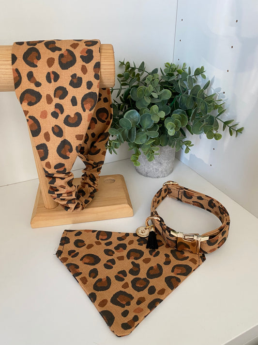 Bandeau assorti – Matchy Matchy humain & chien ou chat léopard
