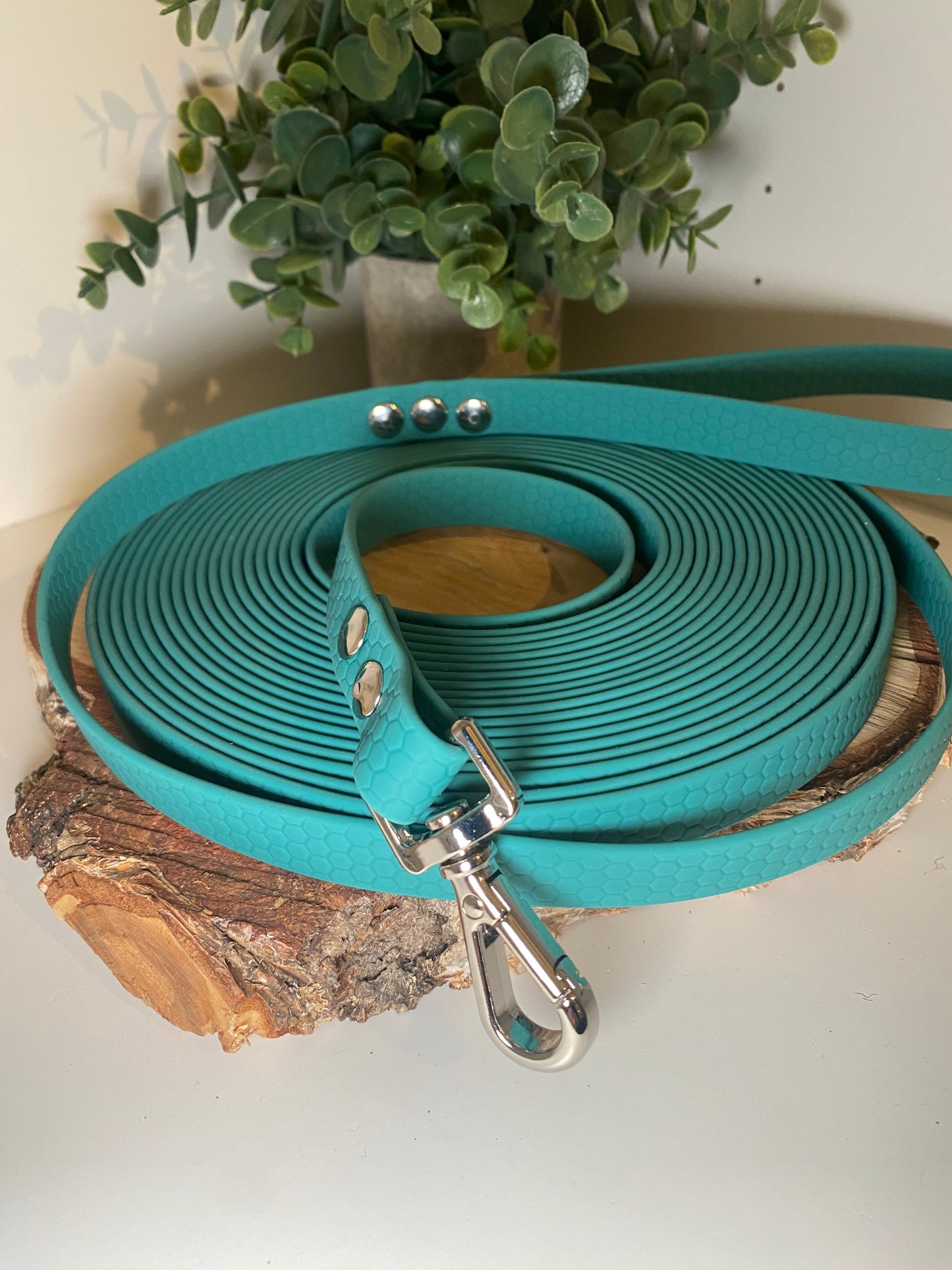 Longe Hexa 2 cm couleur aux choix