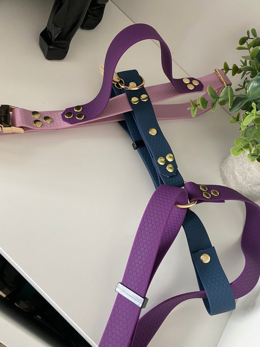 Harnais en H ajustable et imperméable pour chien marine, parme et violet