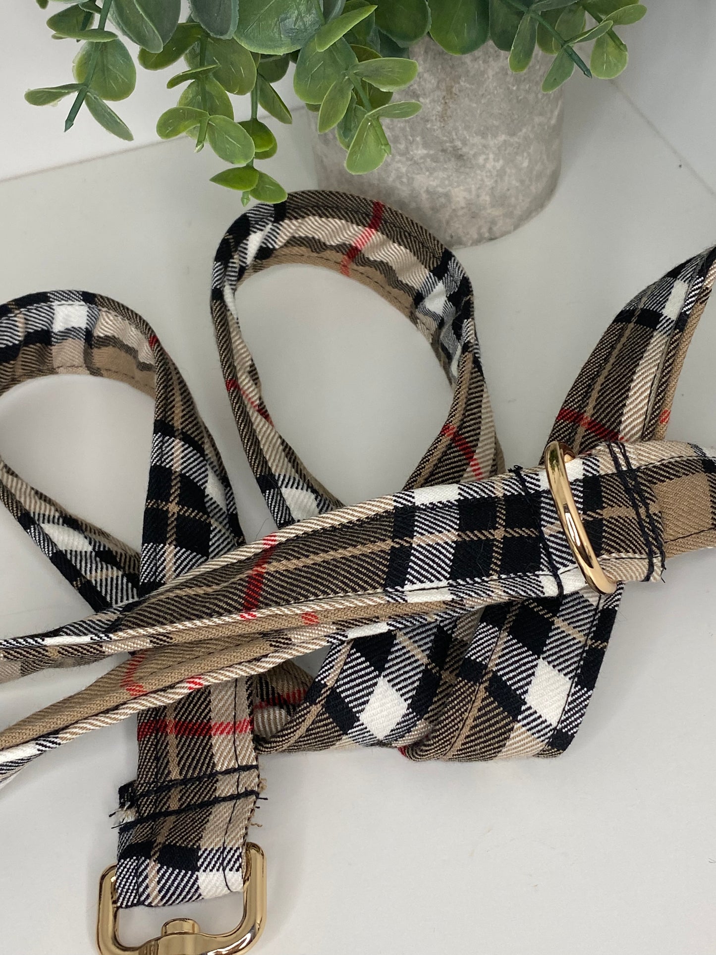 Laisse tartan