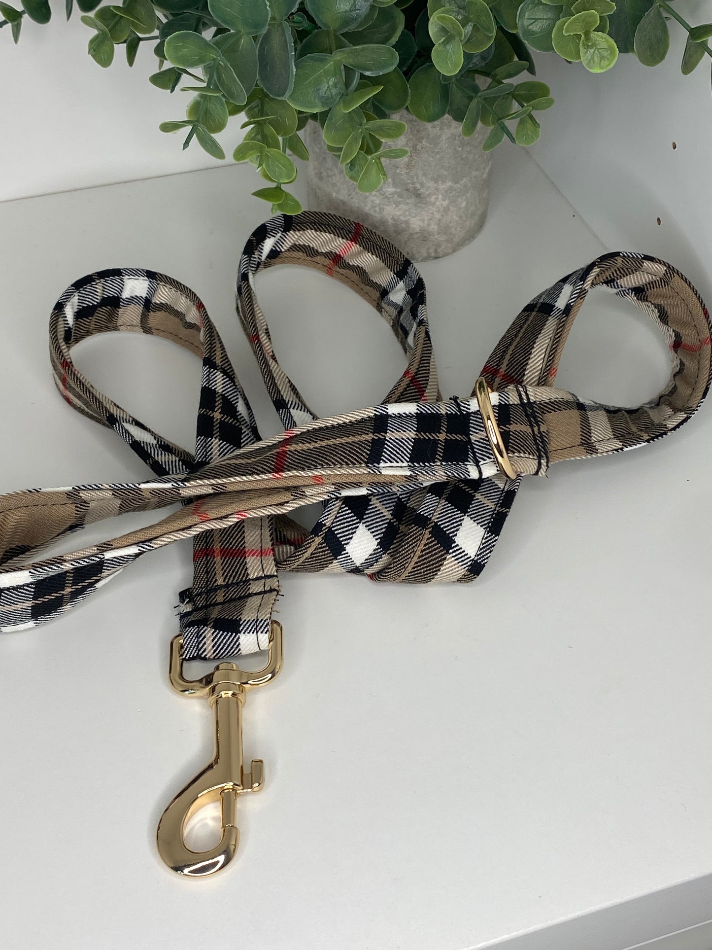 Laisse tartan