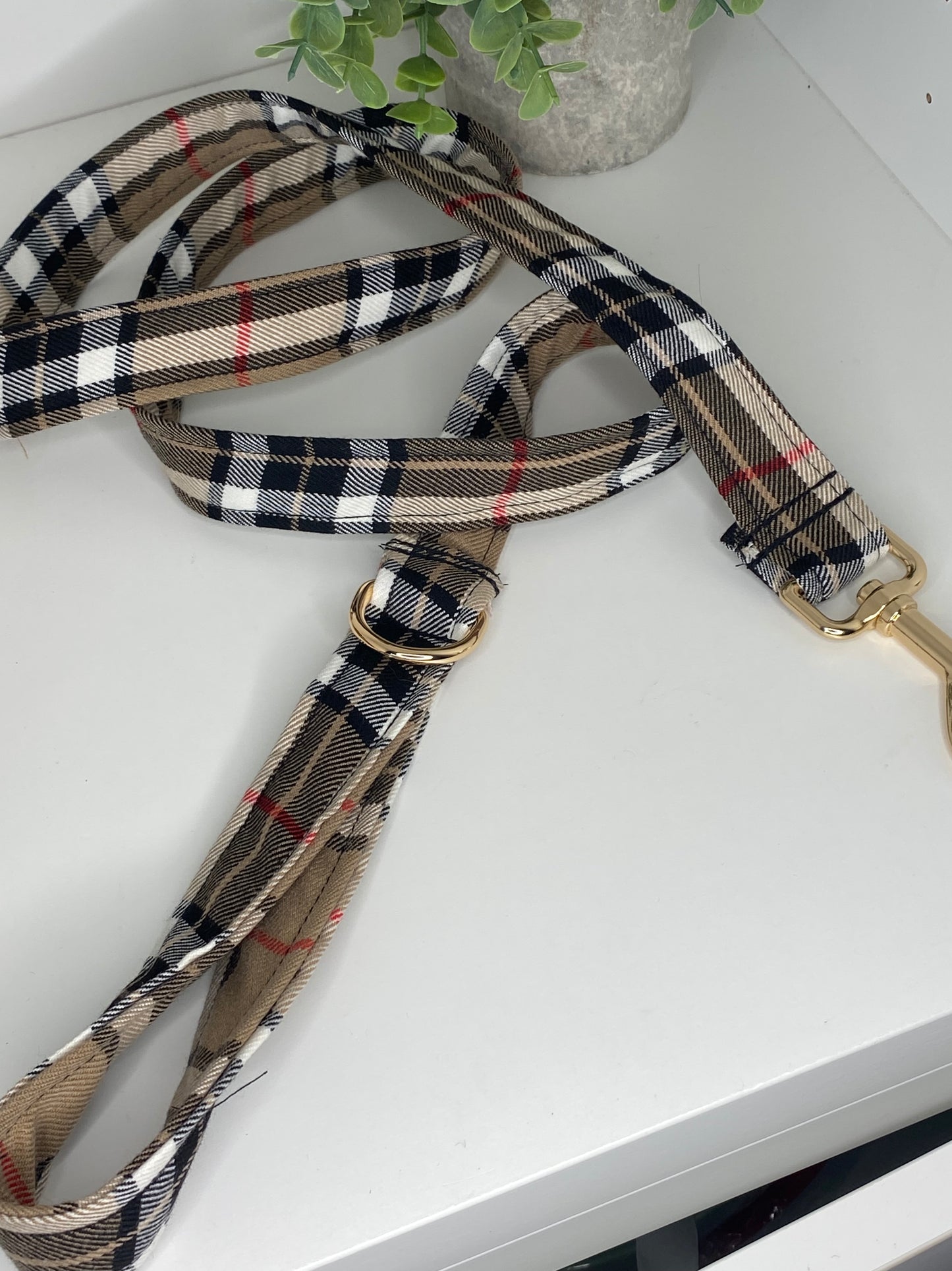Laisse tartan