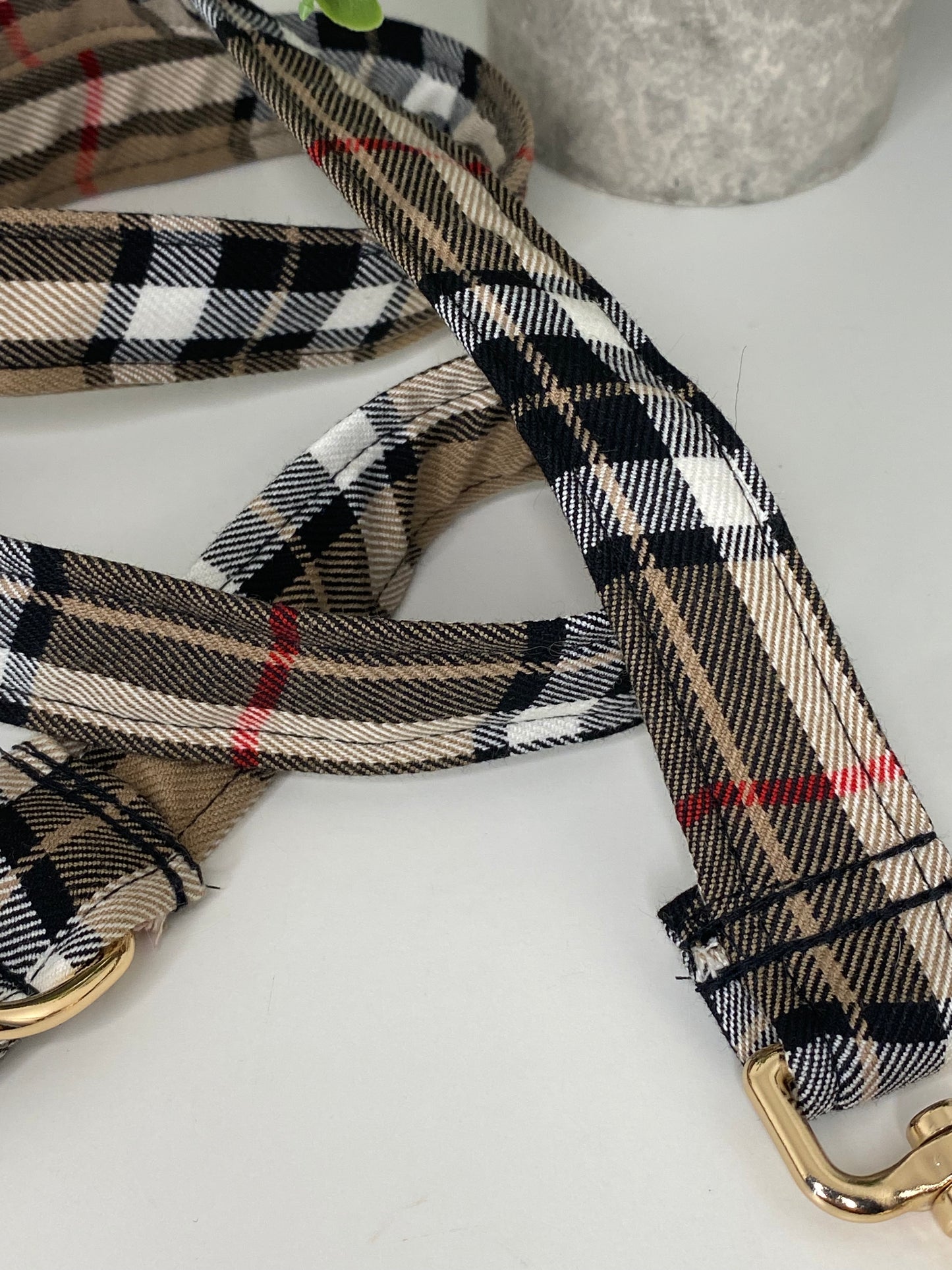 Laisse tartan
