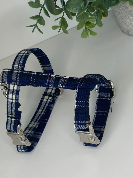 harnais chat ou petit chien carreaux bleus et noirs