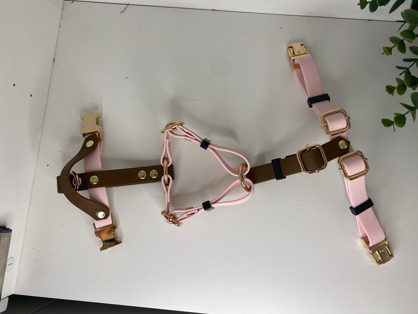 Harnais en H ajustable et imperméable pour chien rose pale et chocolat