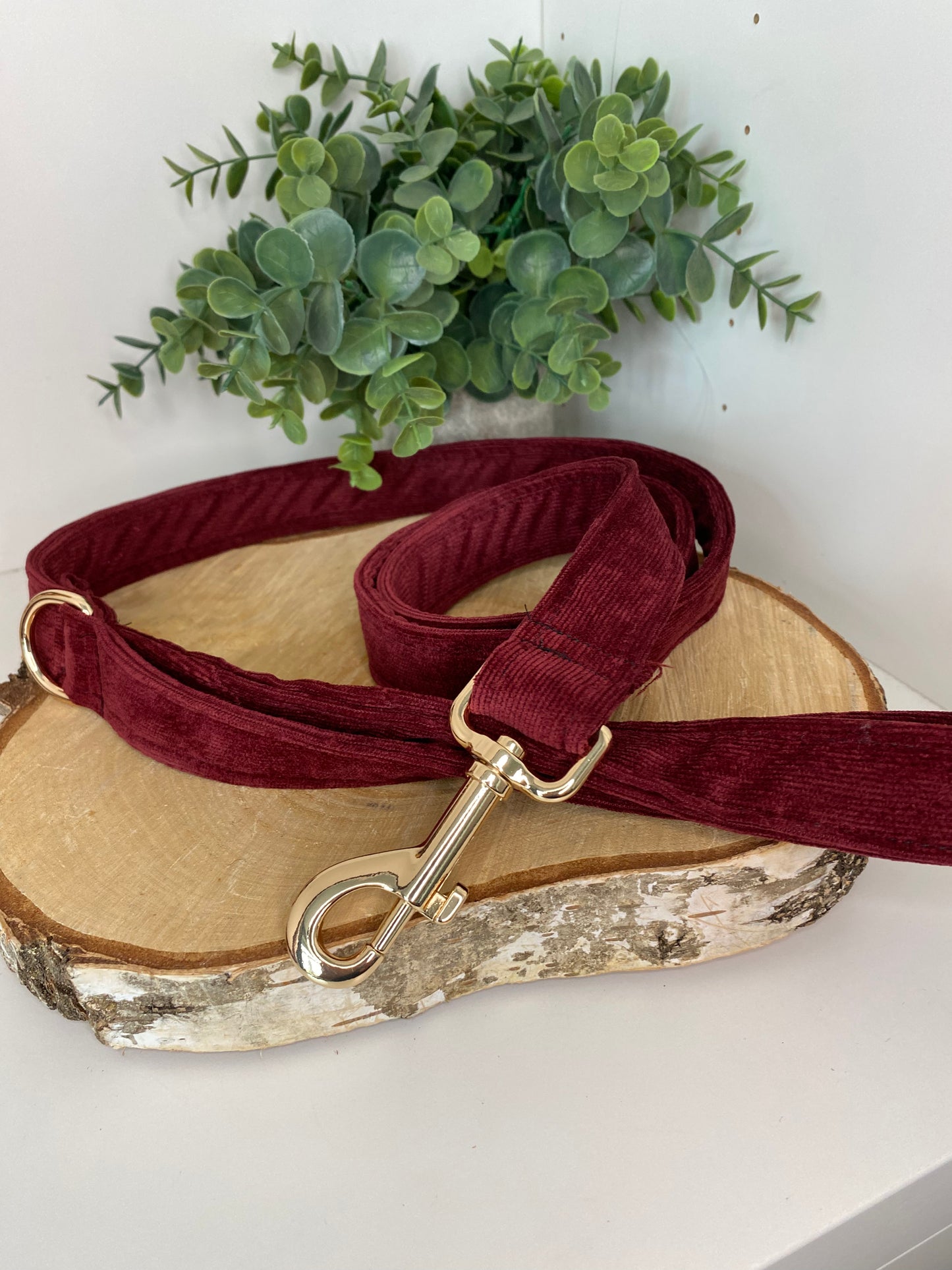 Laisse velours bordeaux