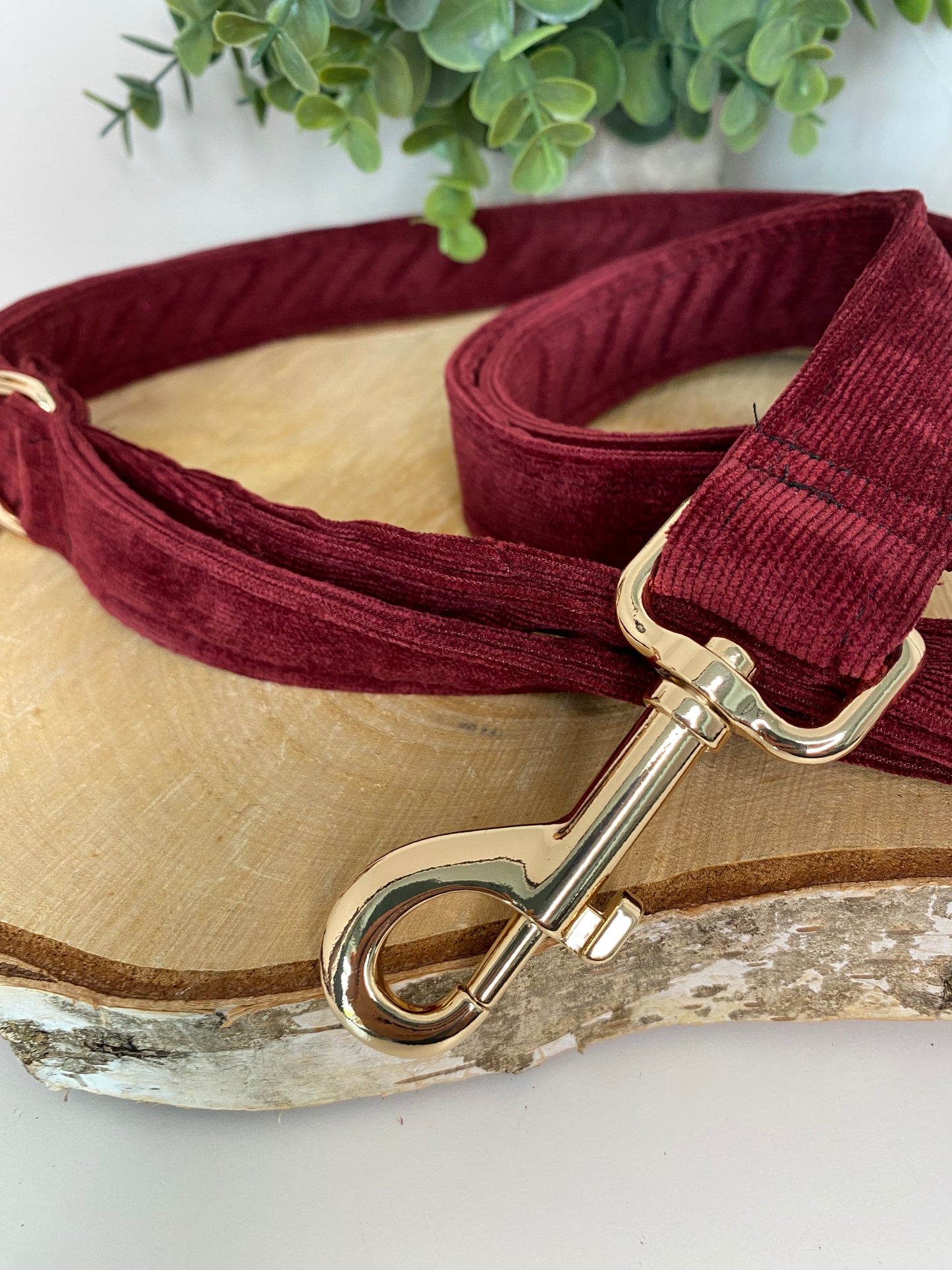 Laisse velours bordeaux