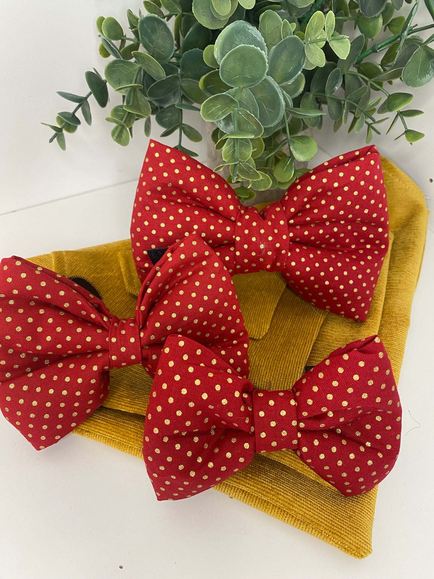 Noeud papillon pour chien et chat - rouge pois doré