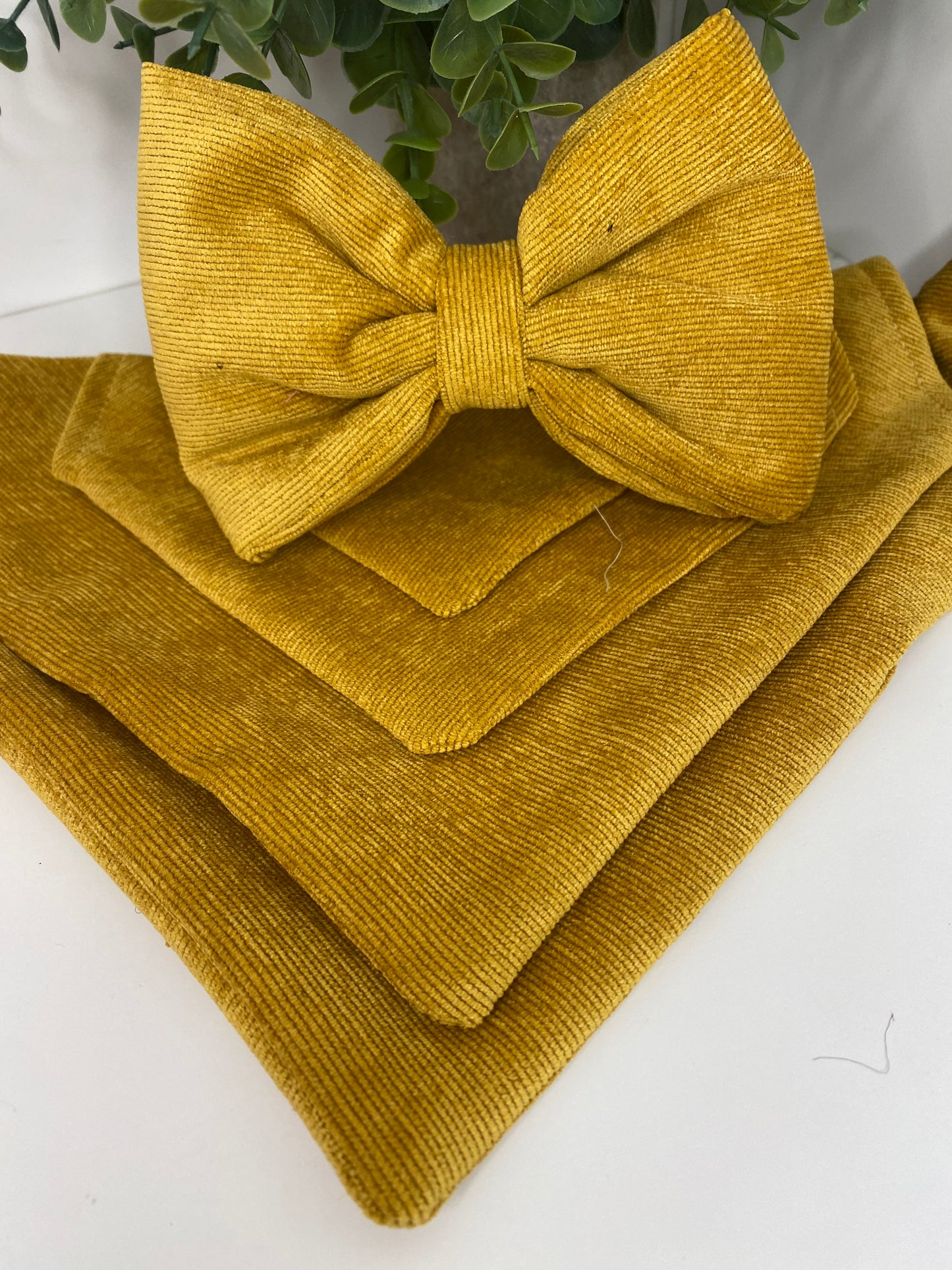 Noeud papillon pour chien et chat - velours moutarde