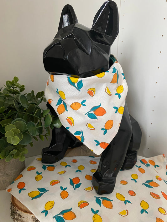 Le Bandana Parfait pour Votre Chien citrons et oranges