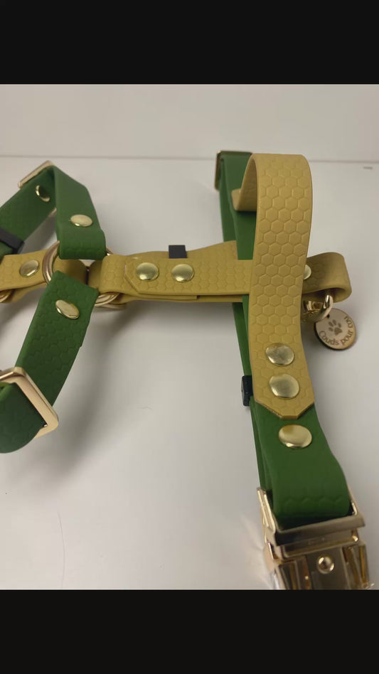 Harnais imperméable en hexa olive et doré