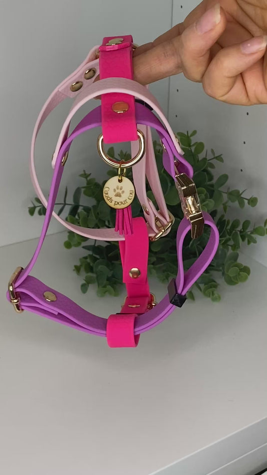 Harnais en H ajustable et imperméable pour chien collection Aby