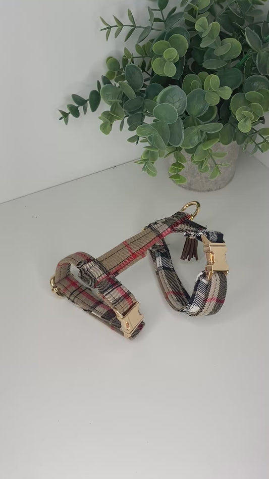 harnais claude pour chat ou petits chiens tissu tartan camel