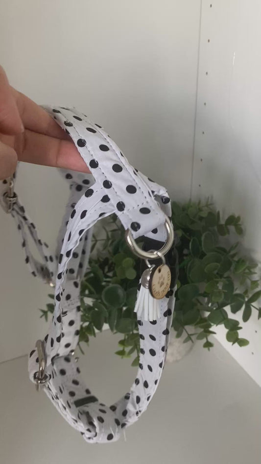 Harnais H - collection pois