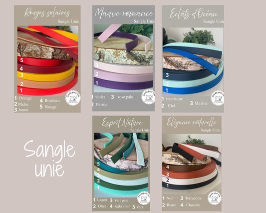 Colliers Réglables pour Chiens waterproof couleur au choix avec ou sans laisse